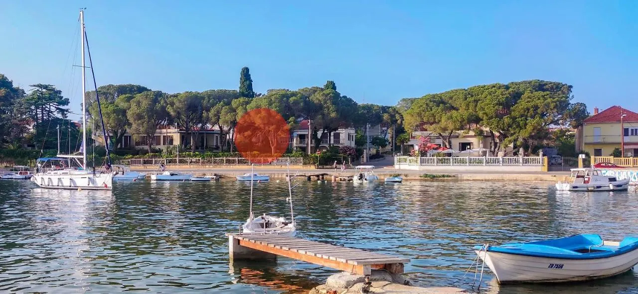 Royal Apartments Zadar contacts